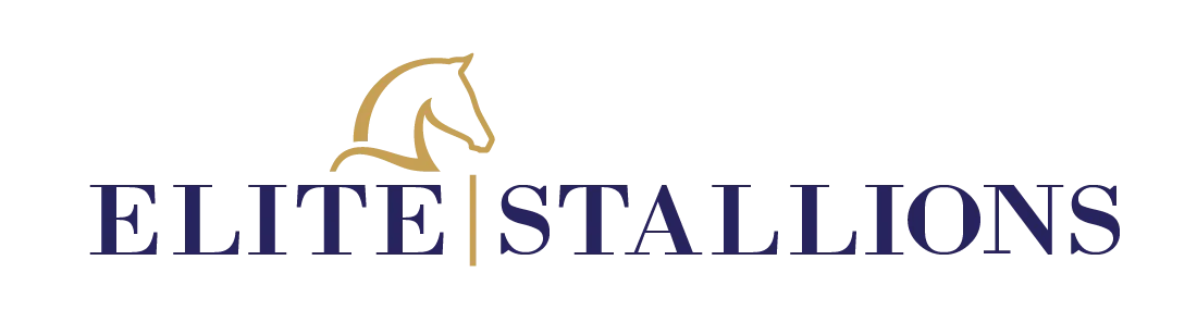Elite Stallions Logo